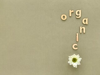 Word Organic with wooden letters in form of question mark, green background, white chrysanthemum