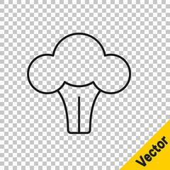 Black line Broccoli icon isolated on transparent background. Vector