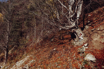 Young beautiful woman sits under a large tree in the mountains. The sun shines. Karachay-Cherkessia, Teberda.