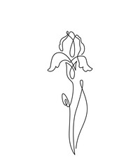 Iris flower vector illustration in simple minimal continuous outline line style. Nature blossom art for floral botanical design. Isolated on white background