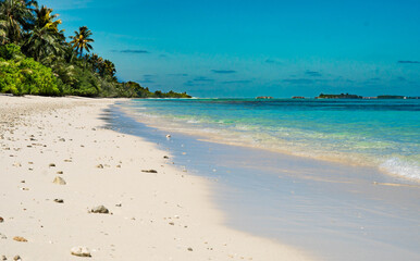 Caribbean beach background. Sunny tropical beach. Hot afternoon on an empty beach. The best beaches in the world. Dominican Republic beaches.