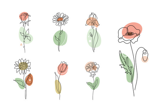 Flowers vector set illustration in simple minimal continuous outline line style. Nature blossom art for floral botanical logo design. Isolated on white background