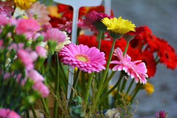 Bukiet pięknych kwiatów różnokolorowych na straganie.  - obrazy, fototapety, plakaty