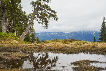 Obraz premium wandern am Bergsee