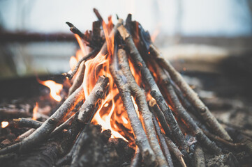 Bonfire in the forest