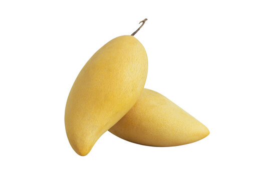Golden yellow ripe mango through di-cut png with line path