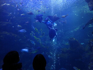 Fototapeta premium 水