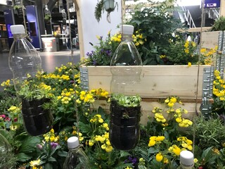 Coole Pflanzen vase aus PET Flasche upcyceln 