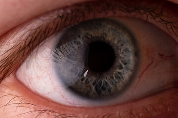 Photo of the eye macro. Blue eye with red blood vessels.
