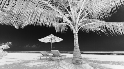 Dramatic summer beach landscape. Luxury vacation and holiday concept, summer travel in black and white. Panoramic landscape of sunset beach, two loungers umbrella, palm leaf, dark monochrome sky for p