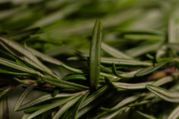 Obraz premium Rosemary leaves on a cutting board