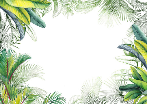 Tropical leaves frame. Watercolor and graphic illustration.