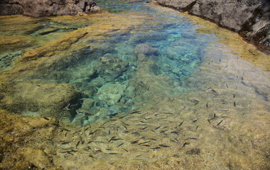 Gran Canaria, calm natural seawater pools in under the steep cliffs of the north coast, separated from the ocean by 
volcanic rock, Punta de Galdar area
