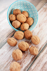 brown natural walnut in a hard shell
