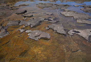 Gran Canaria, calm natural seawater pools in under the steep cliffs of the north coast, separated from the ocean by 
volcanic rock, Punta de Galdar area
