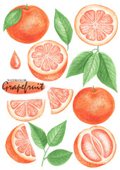 Grapefruit set