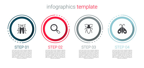 Set Beetle bug, Magnifying glass, Cockroach and Butterfly. Business infographic template. Vector