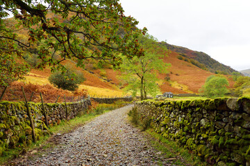 Footpath leading to Stonethwaite Beck, a small river formed at the confluence of Langstrath Beck...