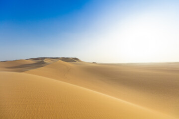 Fototapeta na wymiar Sahara Desert with perfect blue sky on the background.