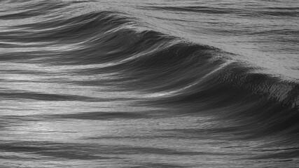 B&W of ocean wave just before it breaks