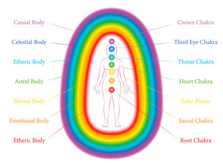 Seven main chakras and corresponding aura layers of a standing woman. Etheric, emotional, mental, astral, celestial and causal layer. Labeled vector illustration chart.

