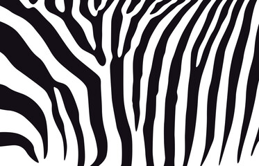 Zebra black-white pattern. Black stripes on white background