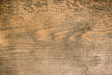 texture of the wood