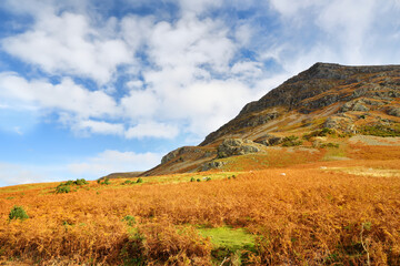 Scenic landscape of the Lake District, famous for its glacial ribbon lakes and rugged mountains. Popular vacation destination in Cumbria, North West England.