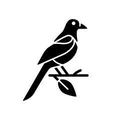 Oriental magpie black glyph icon. Azure robin. Flying bird. Taiwan wildlife. Wild animal. Protected species. Korean culture. Silhouette symbol on white space. Vector isolated illustration