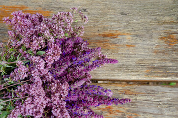 Spring flowers. Lilac flowers on wooden background.