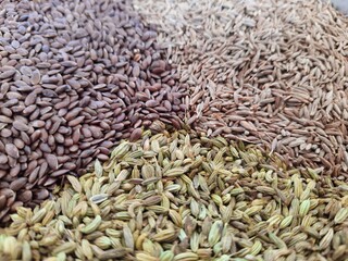 Healthy funnel seed or Saunf