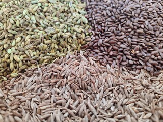 Healthy funnel seed or Saunf