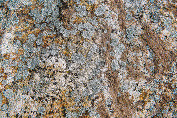 old stone wall texture