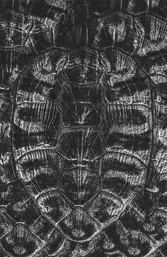 Distress turtle, tortoise skin shell grunge texture. EPS 8 vector illustration. Black and white background.