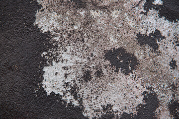 concrete wall texture