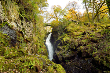 Famous Aira Force waterfall on Aira Beck stream, located in the Lake District, Cumbria, UK.
