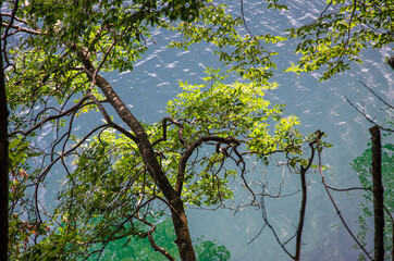 Nationalpark, Plitvicer-Seen,  Unesco -Weltnaturerbe,
