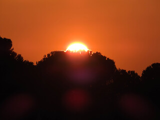 Obraz premium Great sun during suggestive orange sunset and trees darken silhouette