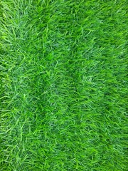 Artificial green color grass can be used in background