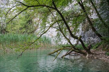 Nationalpark, Plitvicer-Seen,  Unesco -Weltnaturerbe,
