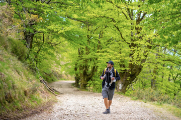Fototapeta premium A young father with the newborn child in the backpack on a path in the forest heading to the picnic with the family