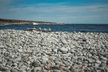 Stones watching waves