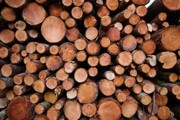 Möbelaufkleber Circle patterns of cut tree trunks. © London Time