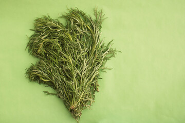 Artemisia ludoviciana plant, popularly called estafiate,