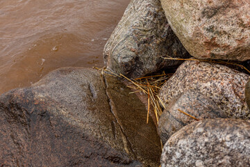 Obraz premium Stones and cane on the sea shore in close up.