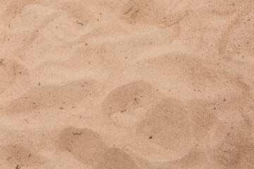 Fototapeta na wymiar Dry sand background in close up.