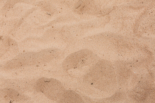 Dry sand background in close up.