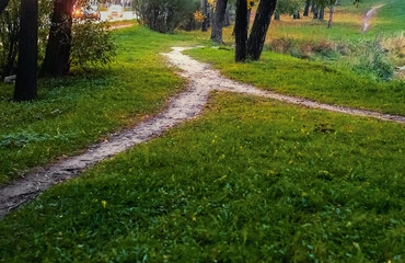 Two narrow footpaths in the park near the highway merged into a single path that goes to the side and into the distance.