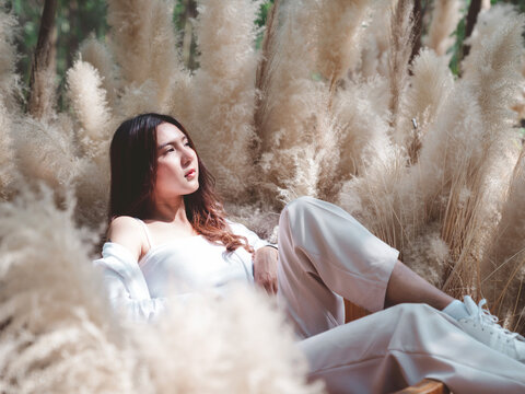 Portrait Of Attractive Asian Woman In White Sexy Camisole With Casual Pants Sit Back Thinking And Look Up To Sky In Sunlight Cream Fluffy Grass Flower Garden, Purity Concept 