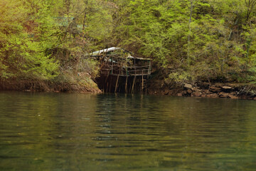 Fototapety na wymiar - Fototapeta24.pl